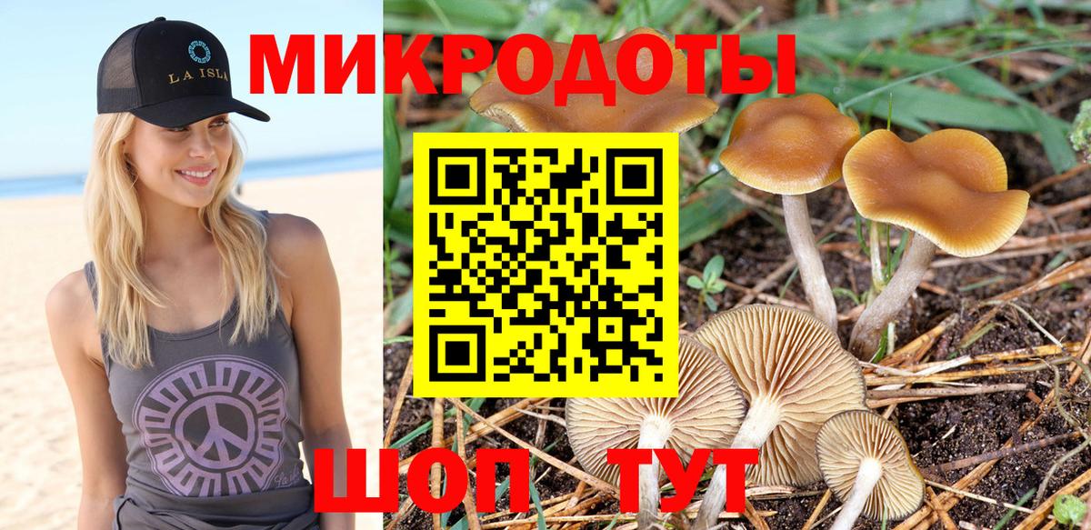 Вязьма  Галлюциногенные грибы GOLDEN TEACHER  Вход с VPN  Галлюциногенные грибы MAGIC MUSHROOMS 