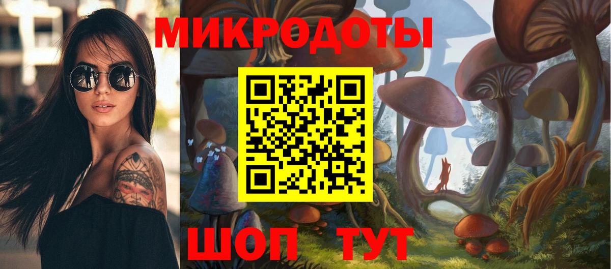 Псилоцибиновые грибы Cubensis Вязьма